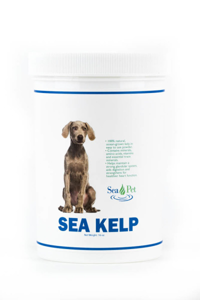 Sea Kelp