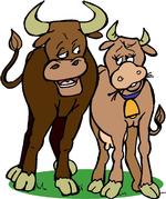 Livestock Feeds- Poulin Grain, Blue Seal & Green Mountain Organic