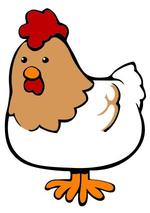 Poultry-Featuring Vermont Based Poulin Grain, Green Mountain Organic & Blue Seal