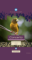 Concerto