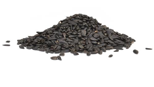 slideshow/Premium-Black-Oil-Sunflower-Seed-Res.jpg