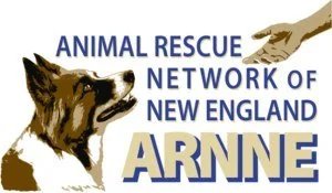 ARNNE Logo
