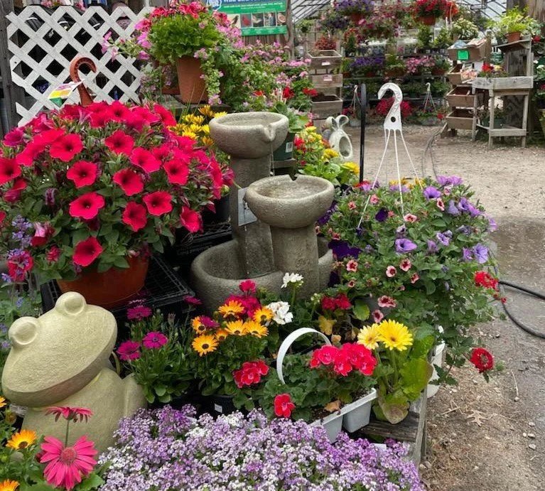 Beautiful Garden Center Flowers and Fountains